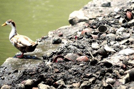 Look what has been found inside the Banganga