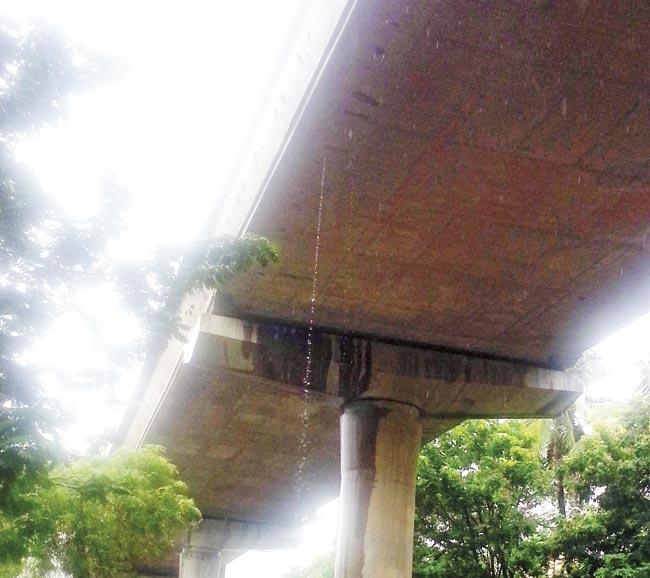When it rains heavily, water flows down in full force from the gaps between the girders. File pic