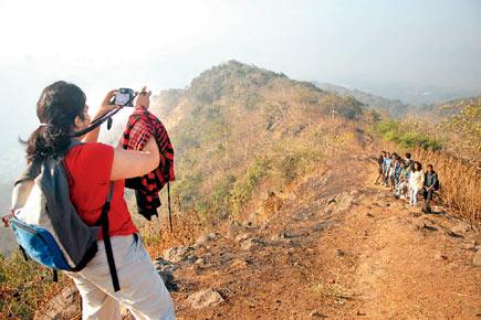 This monsoon, enjoy new nature trails at SGNP