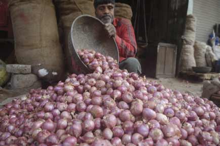 Onion prices remain high at Rs 18.50/kg at Lasalgaon 