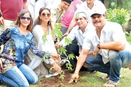 Bollywood stars at a tree plantation initiative
