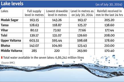 Water levels in Mumbai lakes on July 30, 2014