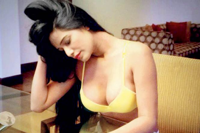 FIFA World Cup: Poonam Pandey will give away her bra if Brazil wins!