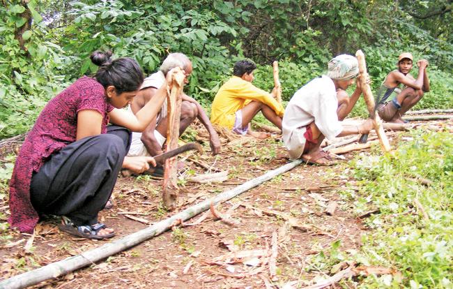 A volunteer helps make a ladder for a machaan