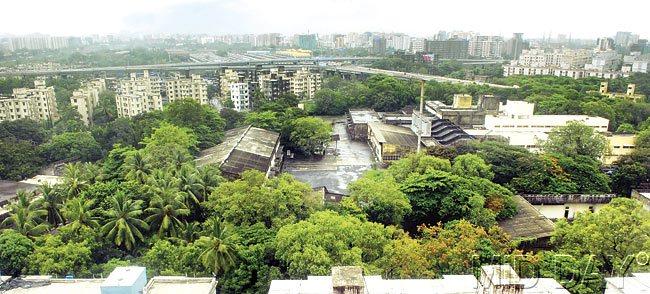 Aarey’s Kurla dairy is spread over 25 acres of land and infrastructural developments around it have bumped up the plot’s market value. Pics/Atul Kamble