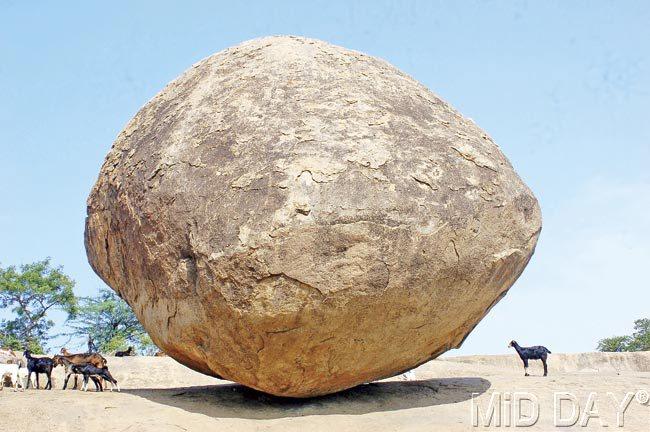Krishna’s Butter Ball is placed on a slope in such a way that it looks like a gentle push could topple the boulder