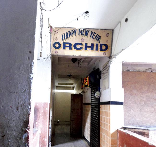 Orchid Bar