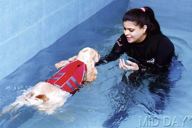 Pooja Advani, founder and owner of It’s a Doggiie Dog World at Andheri, in the Splash Pool. Pic/Kaushik Thanekar