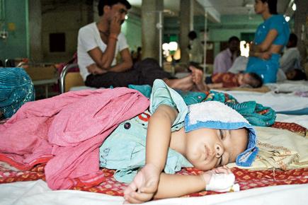 Encephalitis toll in Bengal climbs to 45