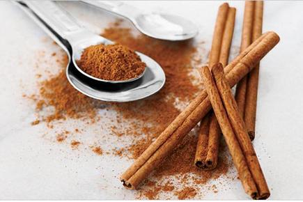 Cinnamon may halt progression of Parkinson's disease