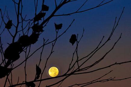 Full moon night may reduce sleep by 20 minutes