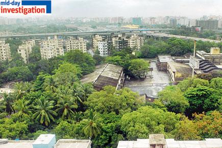 Are politicians milking Aarey dry to sell Rs 4,000 crore land?