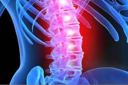Protein concentrate can reduce spinal cord damage: Study