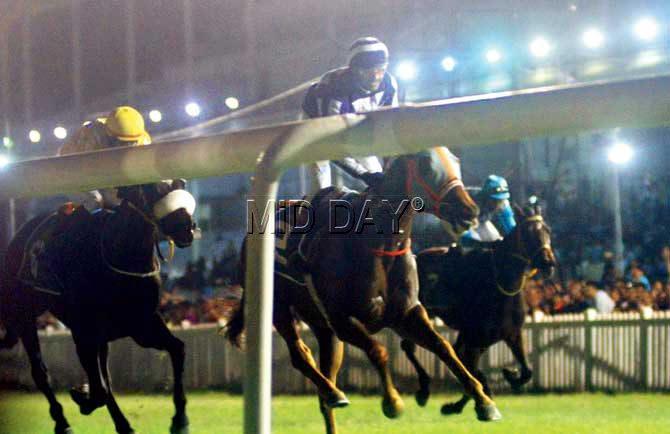 Horses compete during the first competitive night race at the Mahalaxmi Racecourse on Saturday. Pic/Bipin Kokate