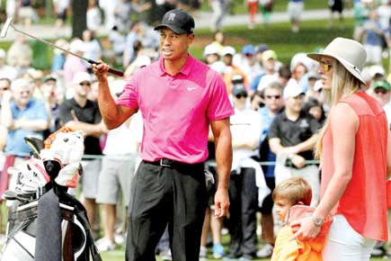 Tiger Woods to roar with cub