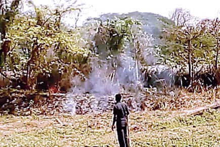Mumbai: Third fire in a week strikes Aarey's forests