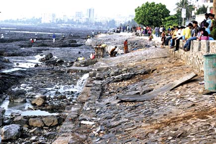 Mumbai: Come monsoon, you'll be able to sit closer to the sea at Bandstand