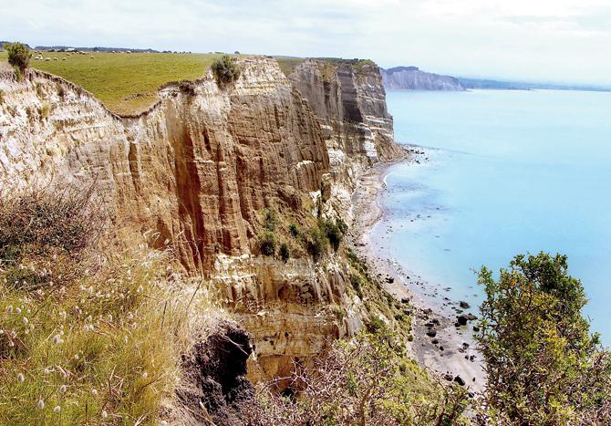 Cliffs on the way to Cape Kidnappers