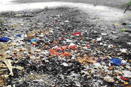 Victory for nature lovers: BMC to rescue Lokhandwala lake down in the dumps