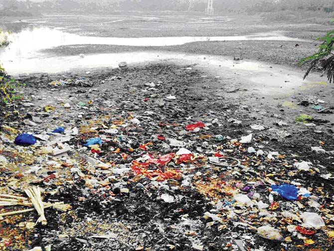 Illegal dumping has choked Lokhandwala lake and threatened its rich biodiversity