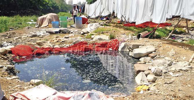 Since the water remains stagnant and is made worse with the repeated use of detergent and washing of possibly contaminated hospital linen, the tank could, literally, be a reservoir of disease. A dhobi displays the clothes from a hospital washed in the reservoir. Pics/Nimesh Dave