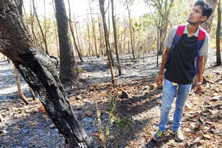 Mumbai: With sudden rise in forest fires in Aarey Colony, locals smell a rat
