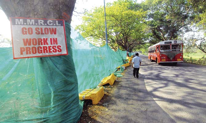 The Metro III car depot, proposed to be built at this site in Aarey Colony, will result in 2,298 trees being axed, pushing the local wildlife out of habitat. File pic