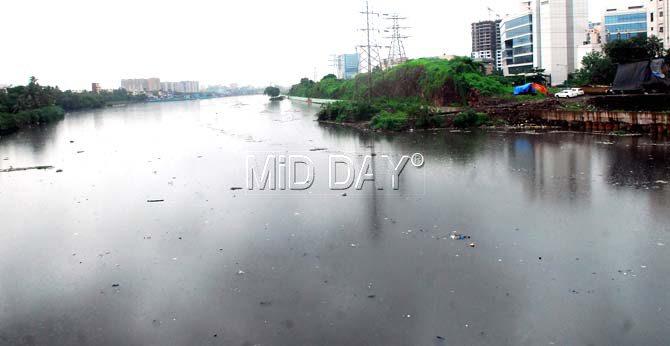 The Mithi River flows past BKC. Pic/Sayyed Sameer Abedi