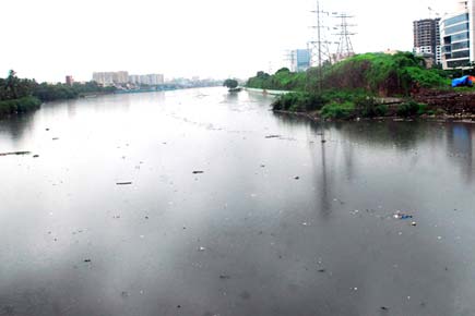 Mumbai: Rs 500 cr of your money flows through the Mithi river!