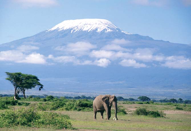 Mount Kilimanjaro (in the background) was formed from catastrophic movements in the earth’s crust that created the Great Rift Valley