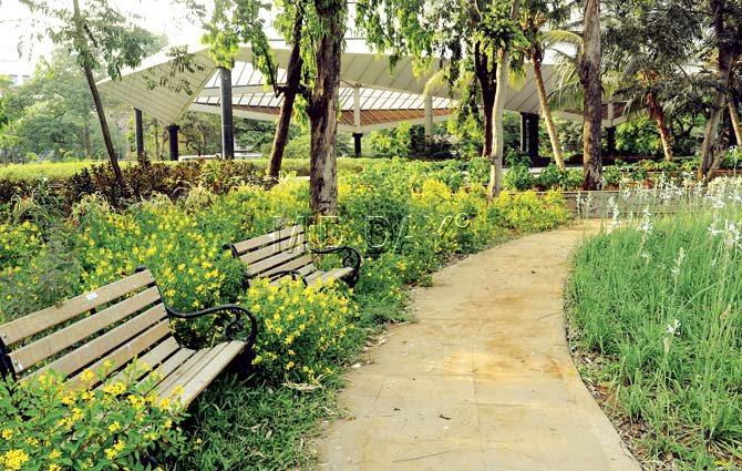 The garden, located on the premises of a defunct Sewage Treatment Plant in Dadar, off Tulsi Pipe Road, consists of lush lawns, a lotus pond and a hillock lined with potted flowering plants. Pics/Suresh KK