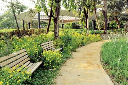 10-acre garden in the heart of Mumbai is ready, but you can't go there