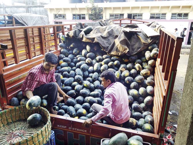 The APMC in Vashi is receiving close to 100 trucks full of watermelons every day