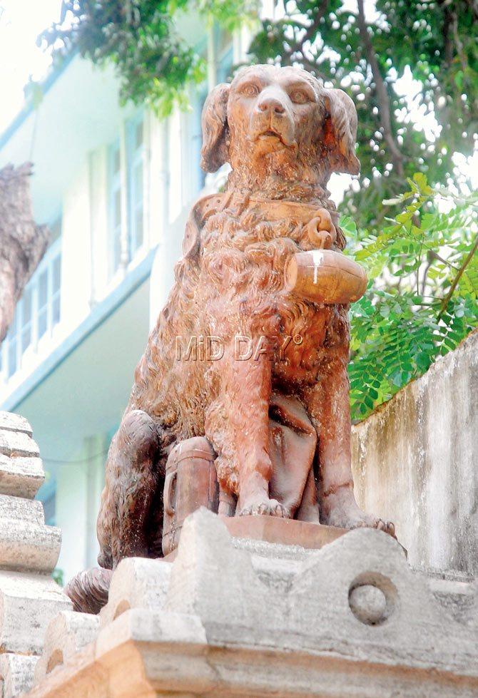The family pet dog of Jamsetji Tata, called Saint Bernard