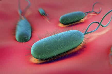 Manipulating gut microbes may reduce intestinal parasitic infections