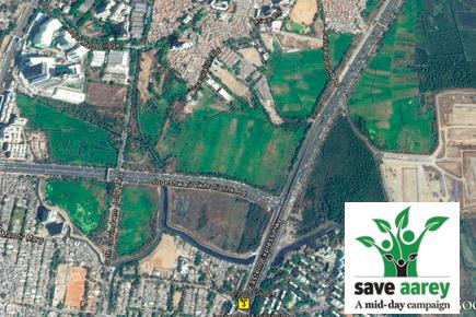 Save Aarey: CM's experts want Metro yard to be shifted from Aarey to Kanjurmarg