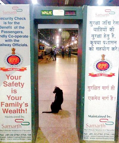 security 