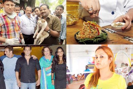 mid-day special: Most popular reads from August 1 to August 7