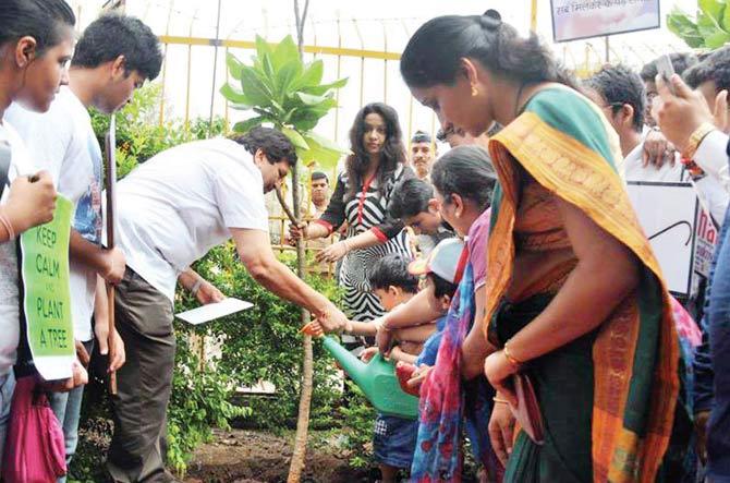 The CM’s wife, Amruta Fadnavis had been invited to plant saplings at Wilson College on June 5. The BJP will now write to the college and BMC to ask why some of the trees were moved.