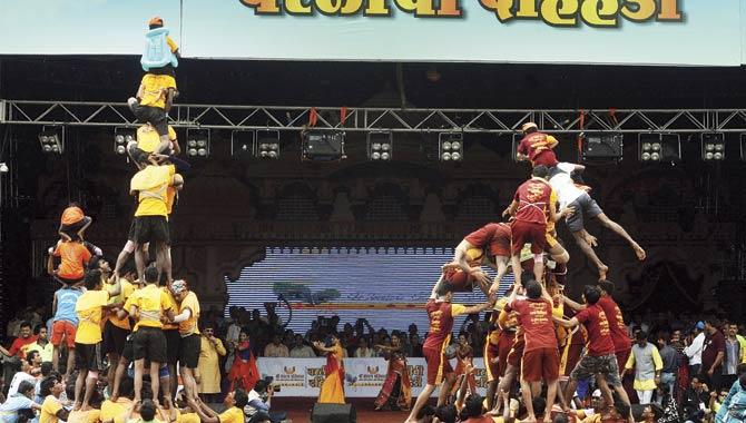 The state has given dahi handi adventure sport status, but that has failed to buoy organisers’ spirits