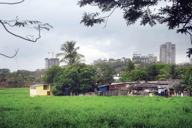 The proposal submitted by the state government defining the Eco-Sensitive Area (ESA) for SGNP has clearly said that “the entire Aarey Colony” is similar to SGNP and is an ESA. File pic