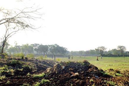 Green tribunal's Aarey construction ban: State pegs all hope on Kanjurmarg for Metro car depot construction