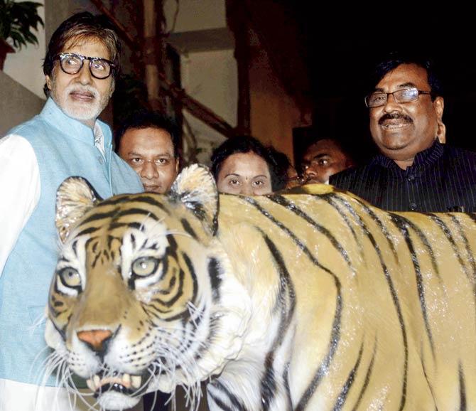 Amitabh Bachchan and Sudhir Mungantiwar (right) at a function in the city to announce him as the ambassador of tiger conservation for the state on August 11
