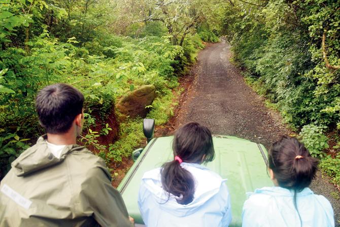 Driving through the narrow paths in Rajmachi forest area