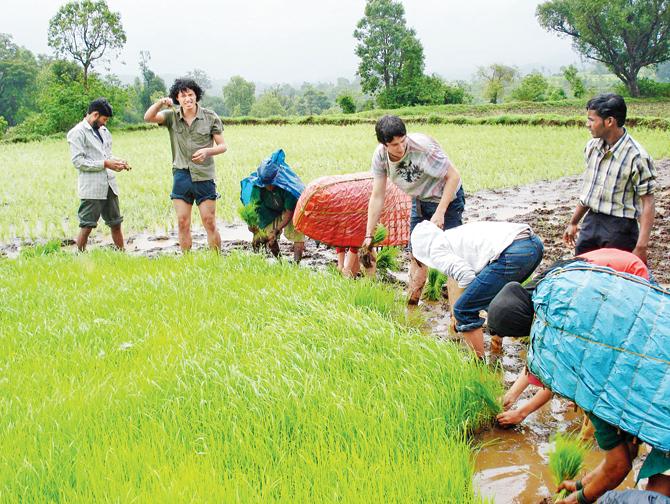Get your hands dirty with some rice planting