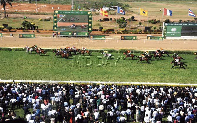 McDowell Indian Derby held at the Mahalaxmi Race Course in February this year, is the signature event. Pic/Satyajit Desai