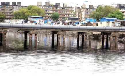 Human sewage threatens to ravage Mumbai's ecosystem