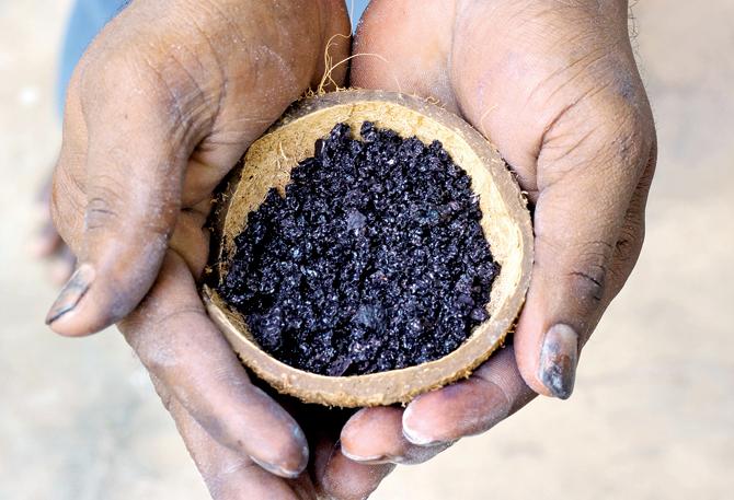 Natural indigo used for dyeing