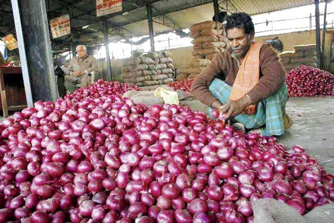 The APMC market in Vashi received 72 truckloads of onions yesterday in comparison to 115 on Tuesday