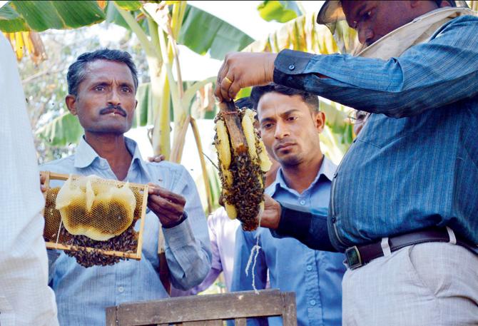 A training programme for farmers at Pauni village at Vidarbha